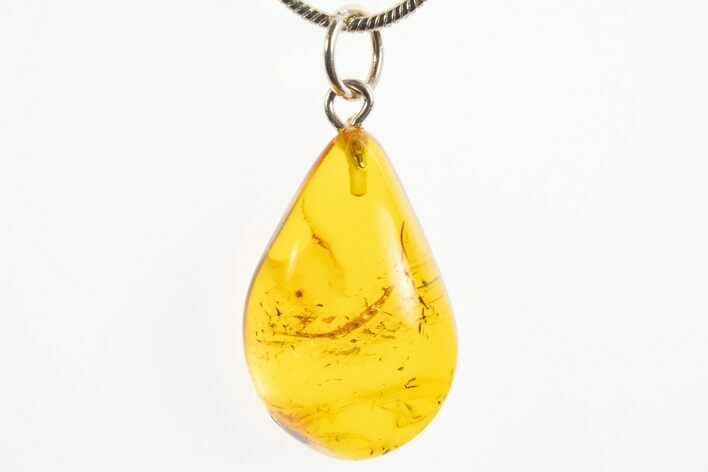 Polished Baltic Amber Pendant (Necklace) - Contains Cockroach! #328530